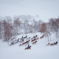 內蒙壩上冬雪