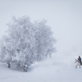 內蒙壩上冬雪