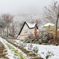 思源啞口雪景