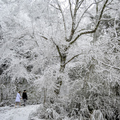 思源啞口雪景