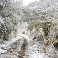 思源啞口雪景