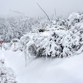 思源啞口雪景