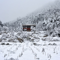 思源啞口雪景