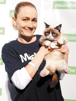 「不爽貓」Grumpy Cat