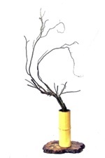 雲龍柳 生花 詩情 花藝 Udn部落格