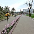 日本南九州之旅(五)~ 青島亞熱帶植物園 