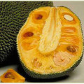 波羅蜜(jackfruit)