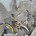 oBike