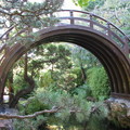 Japanese Tea Garden, Bridge Arch
