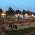 Palm trees outside of Ferry Building 