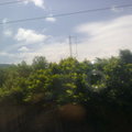 北上，火車內拍的風景(手機)