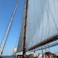 搭帆船遊波士頓港 - 8