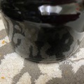自製黑豆醋 - 6