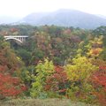 　2013年10月下旬日本東北秋之旅，鳴子峽、奧入瀨溪秋色