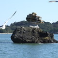日本三景 - 松島著名島嶼：仁王島，311震後略微下沉