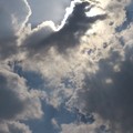 此照片是teresa小竹我去遊玩佛光山成佛大道時,無意間往天空拍攝捕捉到的相片。
我稱牠為:佛光山稀有幸運神獸。