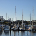  Brisbane river ferry tours 3