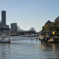  Brisbane river ferry tours 5