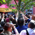 華藏寺門前大樹下的人們在看甘露降下情景