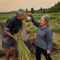 真正的愛從來無關風月，只在平淡的流年裡變作永恆。