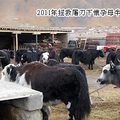 2012雪域拯生濟貧