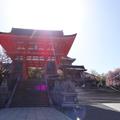 清水寺是京都著名的春櫻、秋紅賞景名所。春櫻滿開與秋紅正盛之時，清水寺還有夜間特別參拜，就是賞夜櫻與賞夜楓的特別開放，值得一去再去。