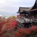 京都清水舞台秋景