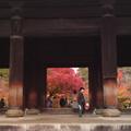 京都南禪寺山門與秋紅