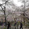 京都府立植物園