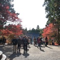 京都高雄三尾之「高雄山神護寺」