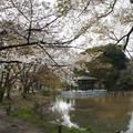 京都府立植物園