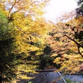 京都高雄三尾之「高雄山神護寺」