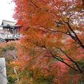 《京都散策》～清水寺之秋 