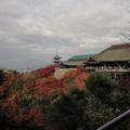《京都散策》～清水寺之秋 