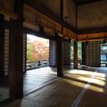 京都青蓮院