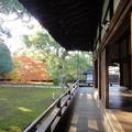 京都青蓮院