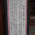 京都「安井金比羅宮」