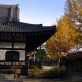 京都七条烏丸＆東本院寺