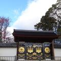 京都醍醐寺之秋