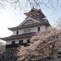 【豐公園】是建於長濱城遺跡所在之處，當年的長濱城是由豐臣秀吉集結當地居民一同興建。