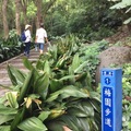 虎頭山公園