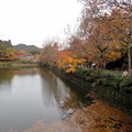 京都 - 2012.11-12