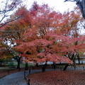 京都 - 2012.11-12