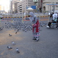2011 Haj 聖城的鴿子們