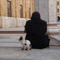 藍色清真寺裡祈禱的女人和貓