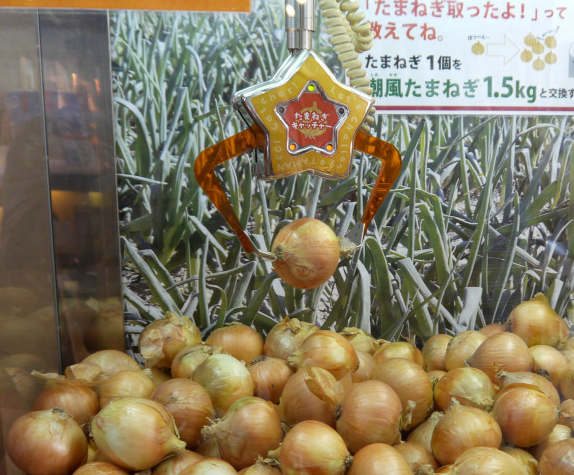 日本沖繩第一間台灣駐點旅遊渡假旅宿，全程旅遊配給專屬華語環島司機，帶您享受日本沖繩石垣島入口即化的石垣牛肉、川平灣蔚藍珊瑚海景！日本沖繩琉球旅遊就選－和昇清風會館。