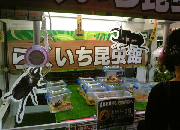 日本沖繩第一間台灣駐點旅遊渡假旅宿，全程旅遊配給專屬華語環島司機，帶您享受日本沖繩石垣島入口即化的石垣牛肉、川平灣蔚藍珊瑚海景！日本沖繩琉球旅遊就選－和昇清風會館。