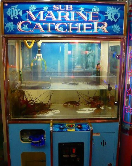 日本沖繩第一間台灣駐點旅遊渡假旅宿，全程旅遊配給專屬華語環島司機，帶您享受日本沖繩石垣島入口即化的石垣牛肉、川平灣蔚藍珊瑚海景！日本沖繩琉球旅遊就選－和昇清風會館。