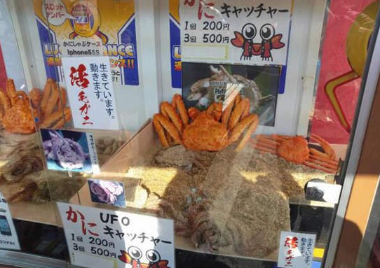 日本沖繩第一間台灣駐點旅遊渡假旅宿，全程旅遊配給專屬華語環島司機，帶您享受日本沖繩石垣島入口即化的石垣牛肉、川平灣蔚藍珊瑚海景！日本沖繩琉球旅遊就選－和昇清風會館。