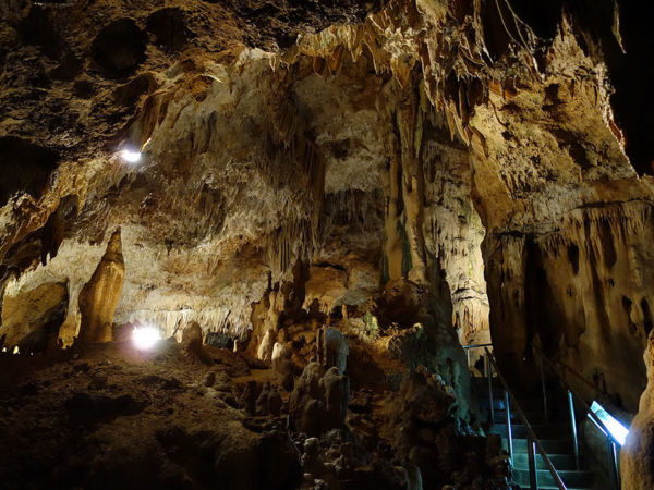 日本沖繩第一間台灣駐點旅遊渡假旅宿，全程旅遊配給專屬華語環島司機，帶您享受日本沖繩石垣島入口即化的石垣牛肉、川平灣蔚藍珊瑚海景！日本沖繩琉球旅遊就選－和昇清風會館。
